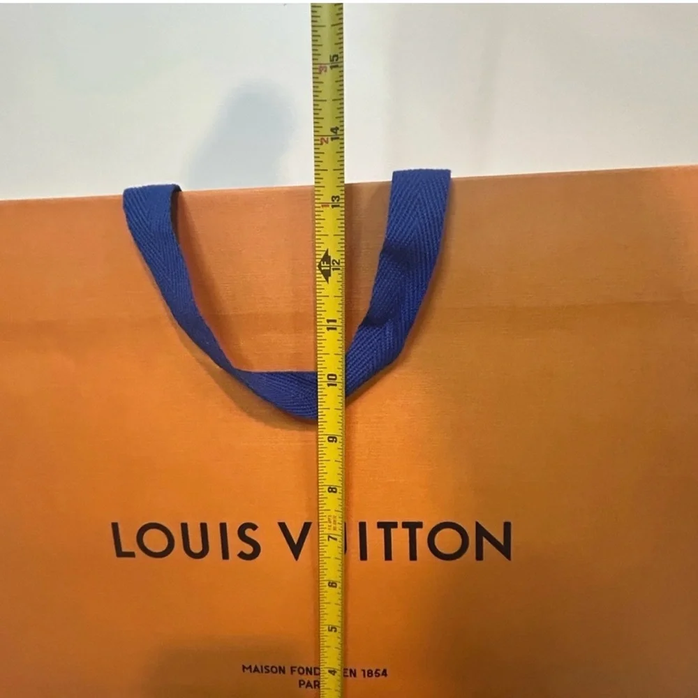 Louis Vuitton gift bag